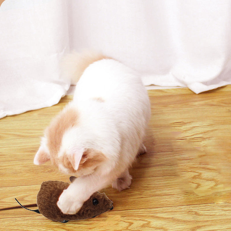 🔥2025 Hot Sale 50% OFF🔥🐭Mouse toy for cats and dogs No🐁