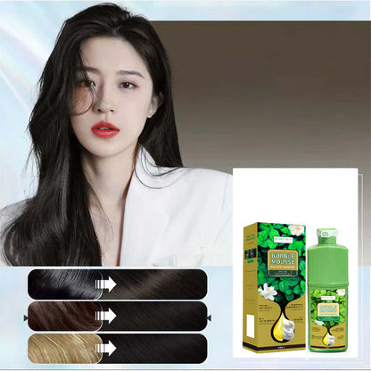 Long-Lasting Plant-Based Foam Hair Dye