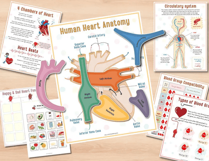 🔥Hot Sell 49% Off🧒Human Anatomy Busy Book